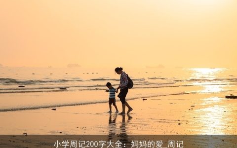 小学周记200字大全：妈妈的爱_周记