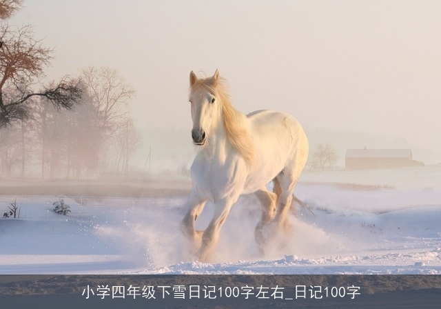 小学四年级下雪日记100字左右_日记100字