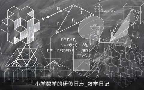 小学数学的研修日志_数学日记