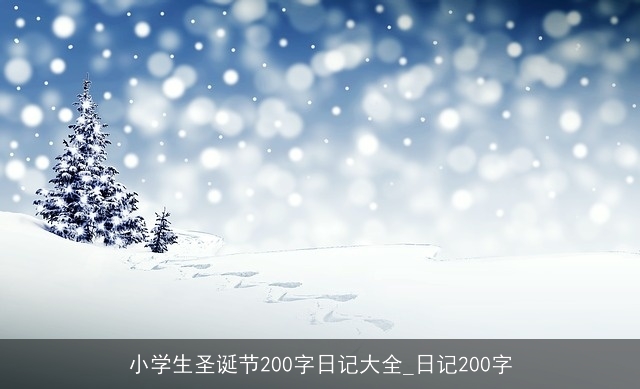 小学生圣诞节200字日记大全_日记200字