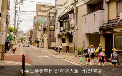 小学生学骑车日记100字大全_日记100字