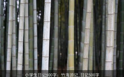 小学生日记500字：竹海游记_日记500字