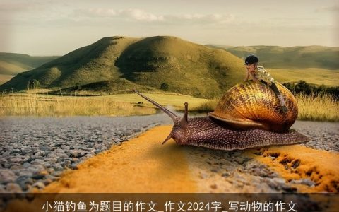 小猫钓鱼为题目的作文_作文2024字_写动物的作文