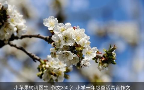 小苹果树请医生_作文350字_小学一年级童话寓言作文