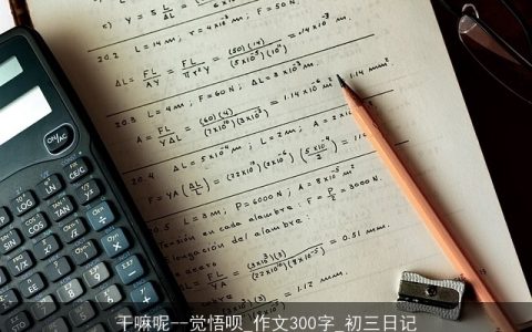 干嘛呢--觉悟呗_作文300字_初三日记