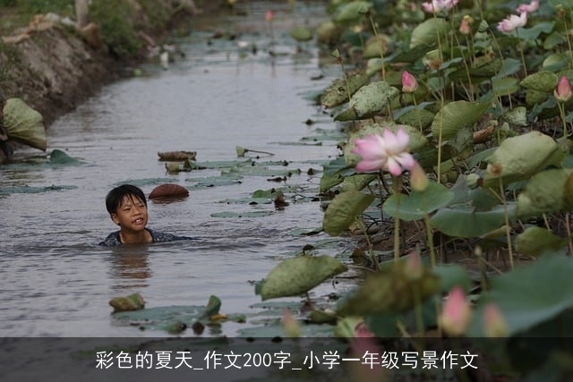 彩色的夏天_作文200字_小学一年级写景作文