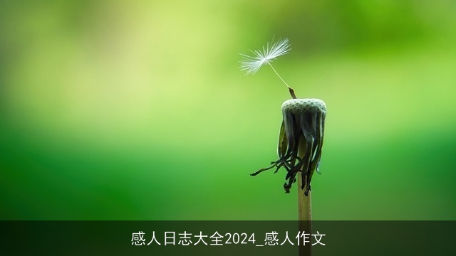 感人日志大全2024_感人作文