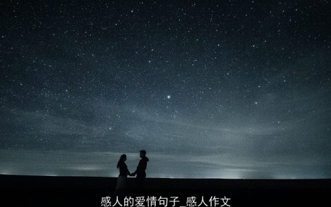 感人的爱情句子_感人作文