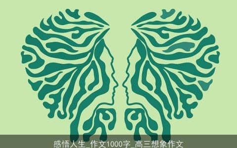 感悟人生_作文1000字_高三想象作文