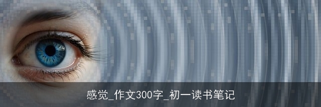 感觉_作文300字_初一读书笔记