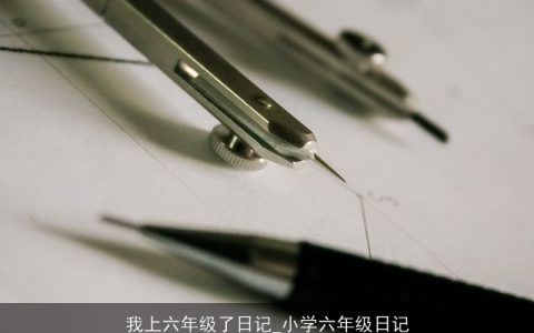 我上六年级了日记_小学六年级日记