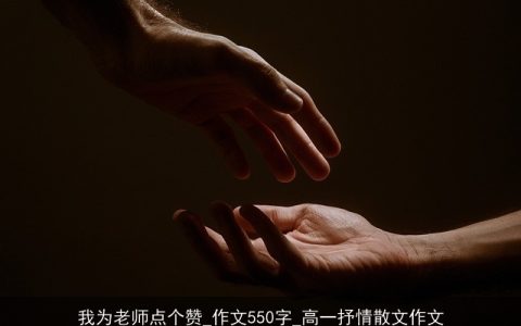 我为老师点个赞_作文550字_高一抒情散文作文