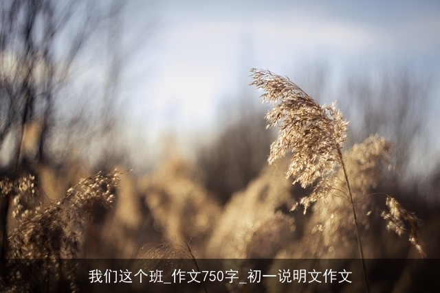 我们这个班_作文750字_初一说明文作文