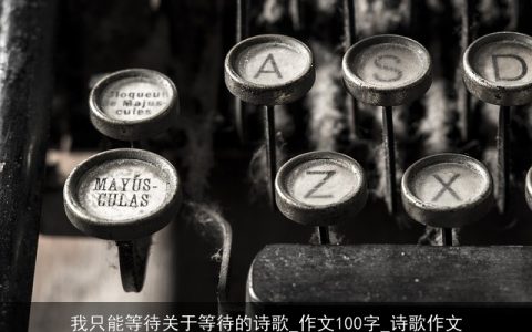 我只能等待关于等待的诗歌_作文100字_诗歌作文