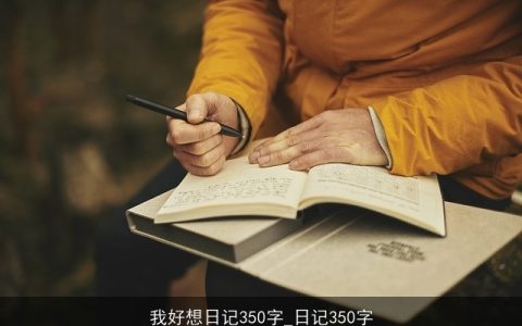 我好想日记350字_日记350字