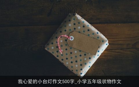 我心爱的小台灯作文500字_小学五年级状物作文