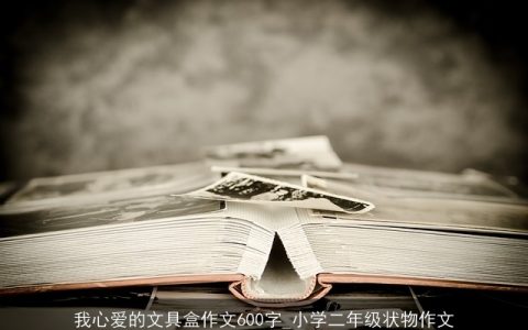 我心爱的文具盒作文600字_小学二年级状物作文