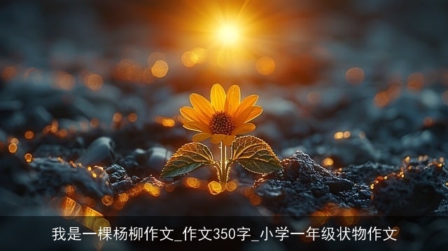 我是一棵杨柳作文_作文350字_小学一年级状物作文