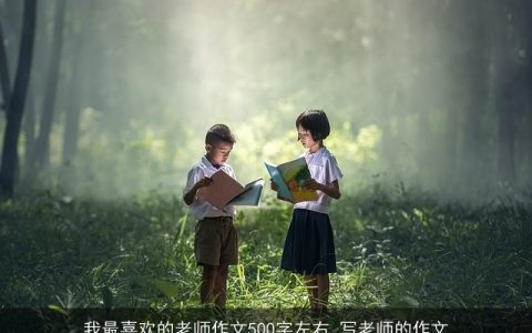 我最喜欢的老师作文500字左右_写老师的作文