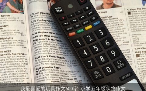 我最喜爱的玩具作文600字_小学五年级状物作文