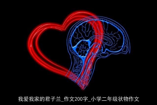 我爱我家的君子兰_作文200字_小学二年级状物作文