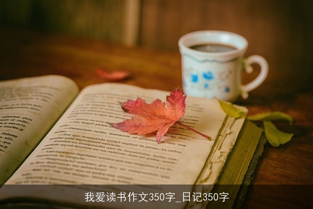 我爱读书作文350字_日记350字