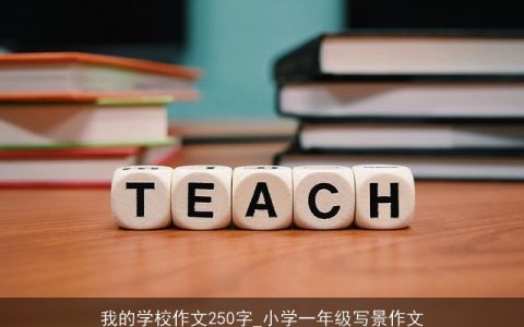 我的学校作文250字_小学一年级写景作文