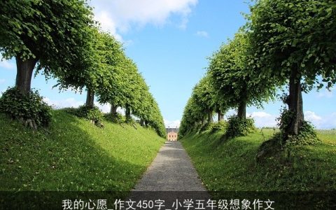 我的心愿_作文450字_小学五年级想象作文