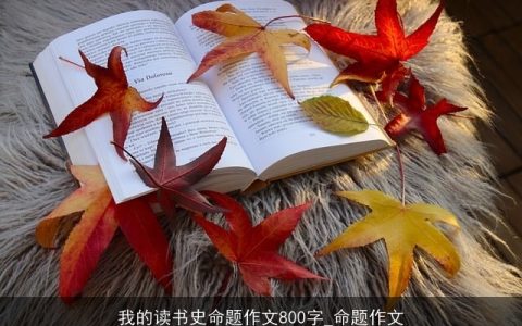 我的读书史命题作文800字_命题作文