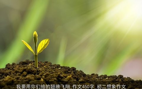 我要用你们给的翅膀飞翔_作文450字_初二想象作文