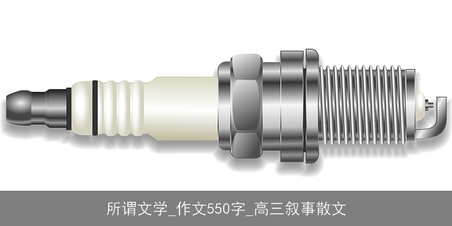 所谓文学_作文550字_高三叙事散文