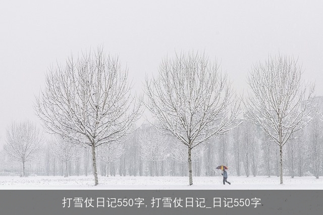 打雪仗日记550字,打雪仗日记_日记550字