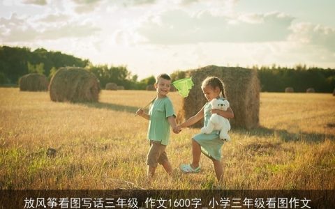 放风筝看图写话三年级_作文1600字_小学三年级看图作文