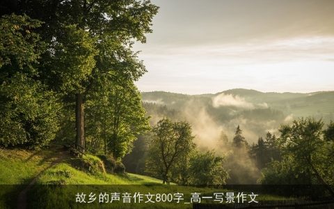 故乡的声音作文800字_高一写景作文