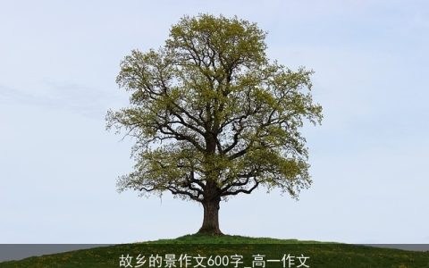 故乡的景作文600字_高一作文