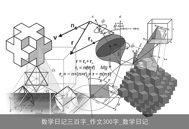 数学日记三百字_作文300字_数学日记