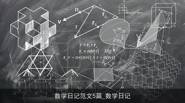 数学日记范文5篇_数学日记