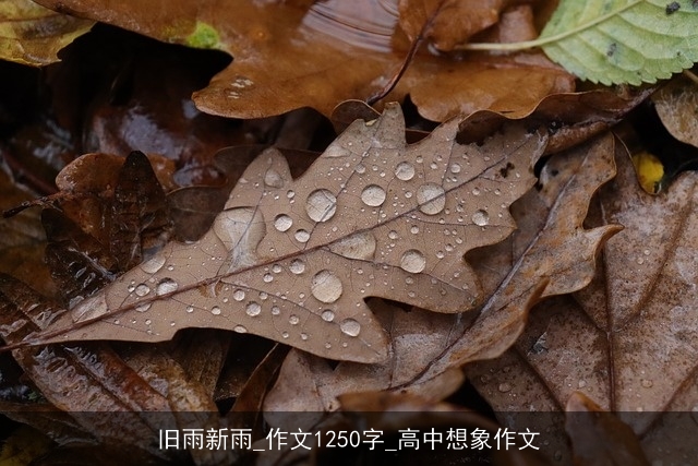 旧雨新雨_作文1250字_高中想象作文