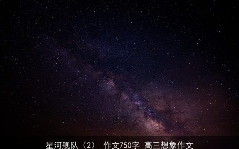 星河舰队（2）_作文750字_高三想象作文