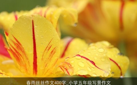 春雨丝丝作文400字_小学五年级写景作文