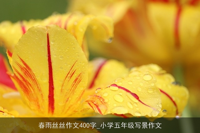 春雨丝丝作文400字_小学五年级写景作文