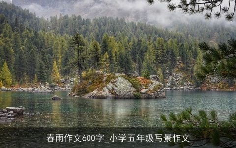 春雨作文600字_小学五年级写景作文