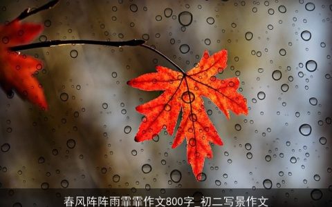 春风阵阵雨霏霏作文800字_初二写景作文