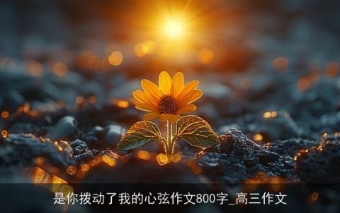 是你拨动了我的心弦作文800字_高三作文