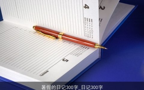 暑假的日记300字_日记300字