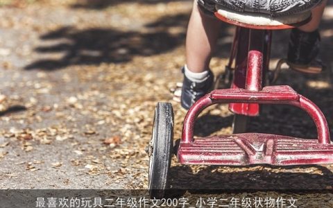 最喜欢的玩具二年级作文200字_小学二年级状物作文