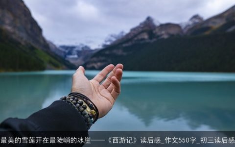 最美的雪莲开在最陡峭的冰崖——《西游记》读后感_作文550字_初三读后感