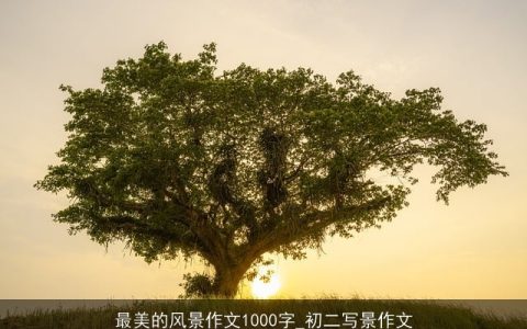 最美的风景作文1000字_初二写景作文