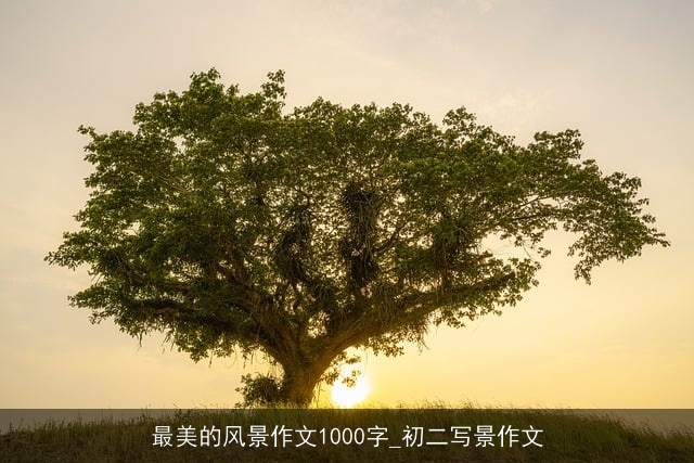 最美的风景作文1000字_初二写景作文