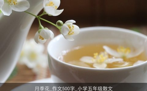 月季花_作文500字_小学五年级散文